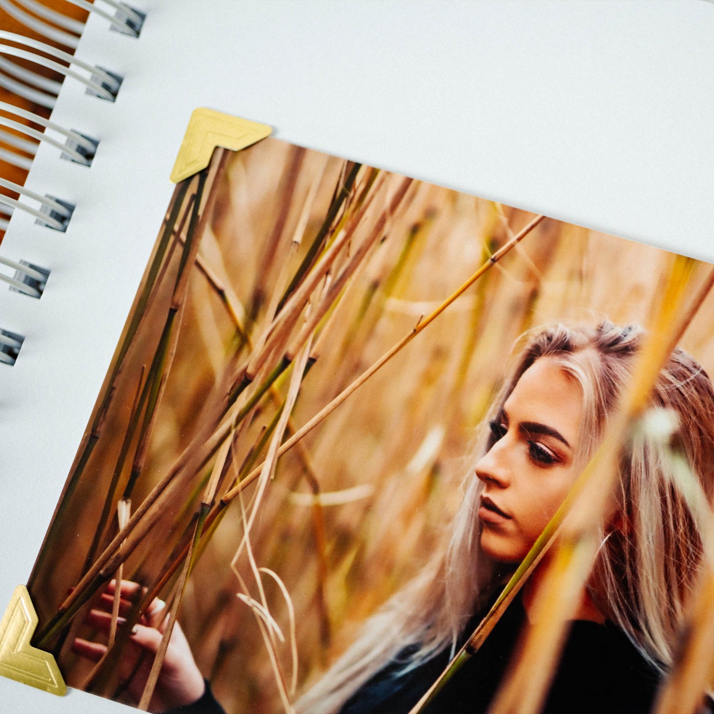 Self Adhesive Photo Corners