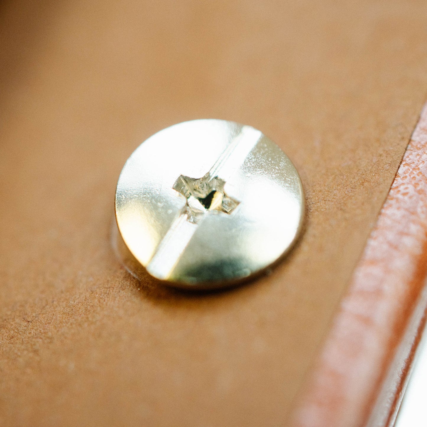 "Fated Hearts" Wedding Photo Album